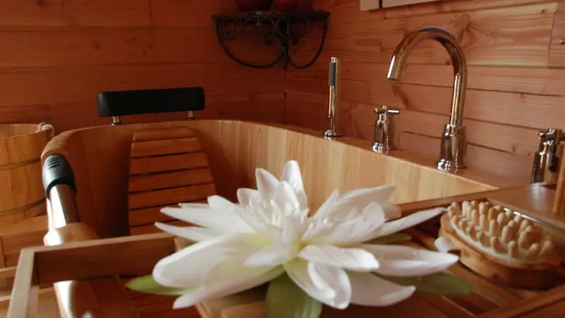 Cabanes perchées de la Bourousais