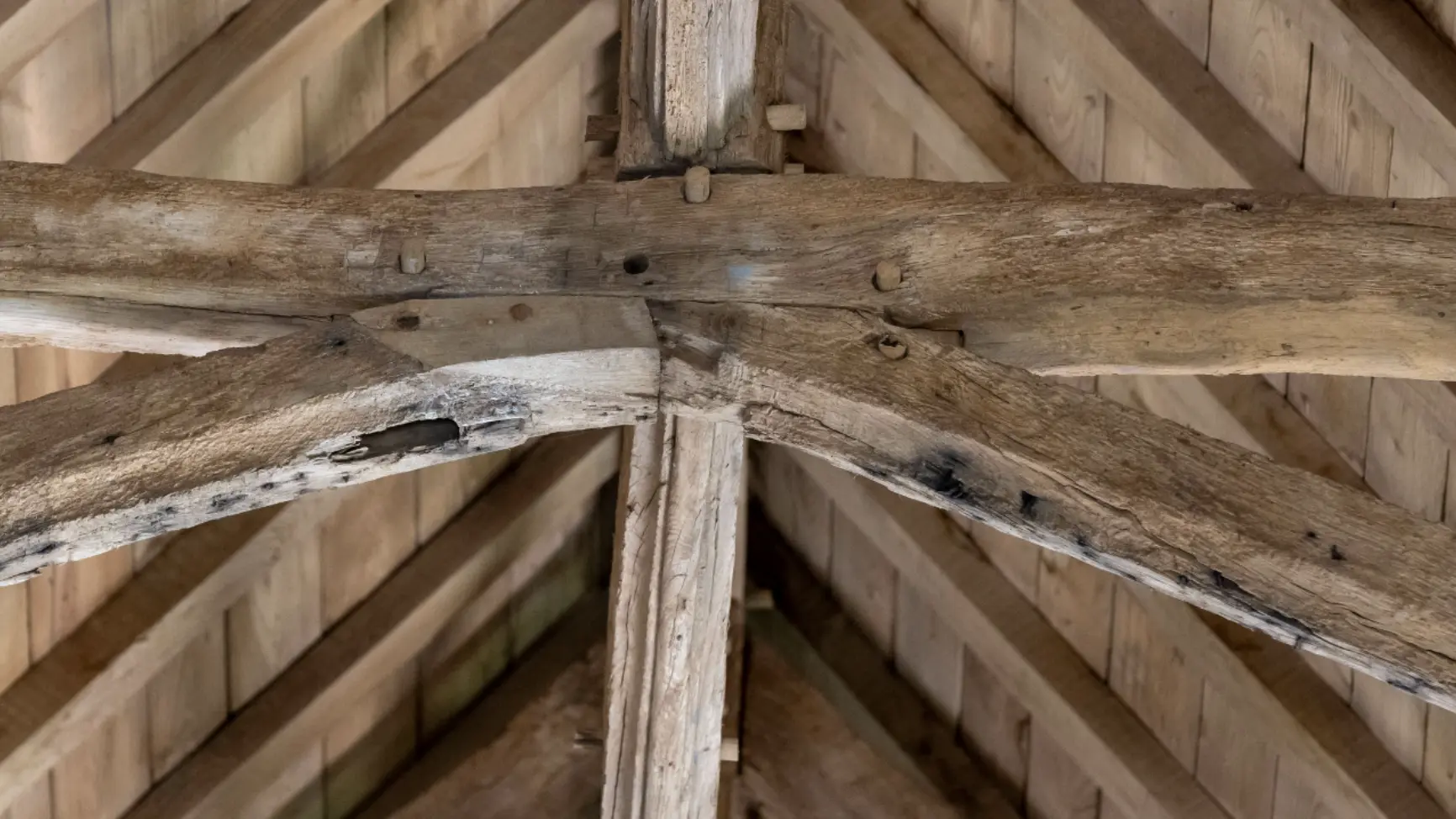 Chapelle Notre-Dame des Fleurs