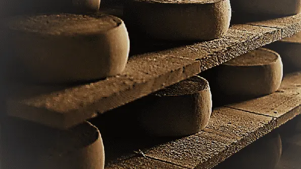 Fromages de nos terroirs_Pontivy