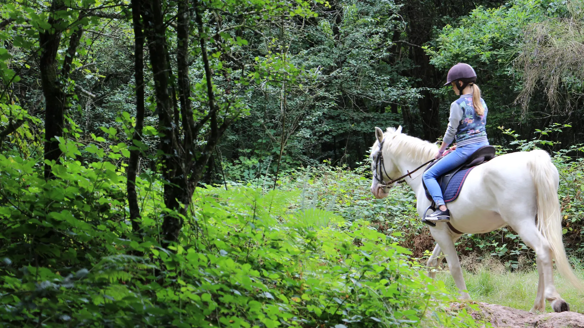 Balade équestre Brocéliande