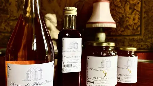 Chateau du plessis coudray