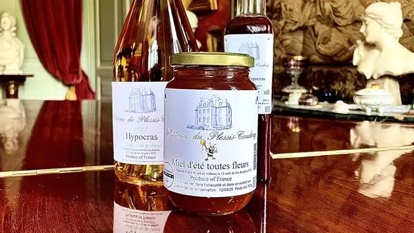 Chateau du plessis coudray