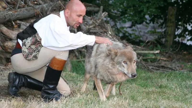 Château de Bienassis
