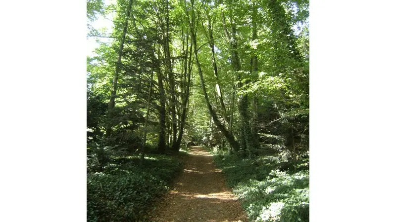 Chambres d'hôtes-Ville Voisin-Augan-Brocéliande-Bretagne