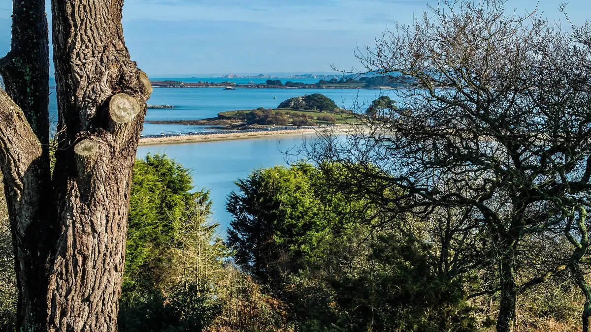 Champ de la Rive @T. Page-Jones (11)