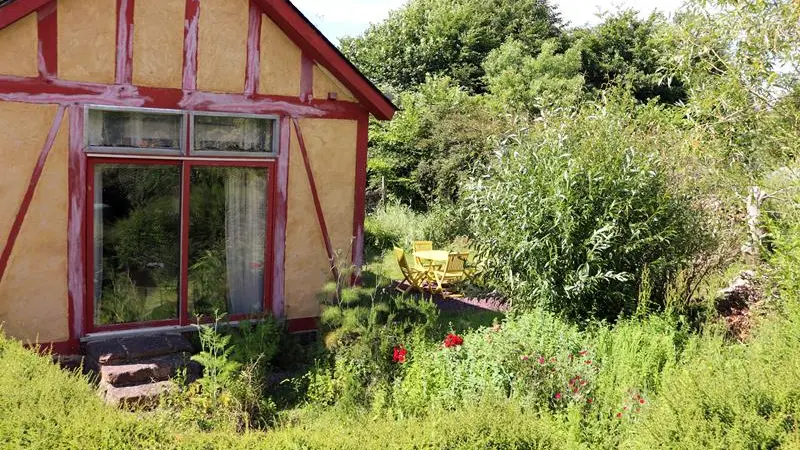 Chélidoine jardin