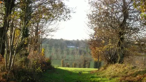 Chemin creux à Pleumeleuc