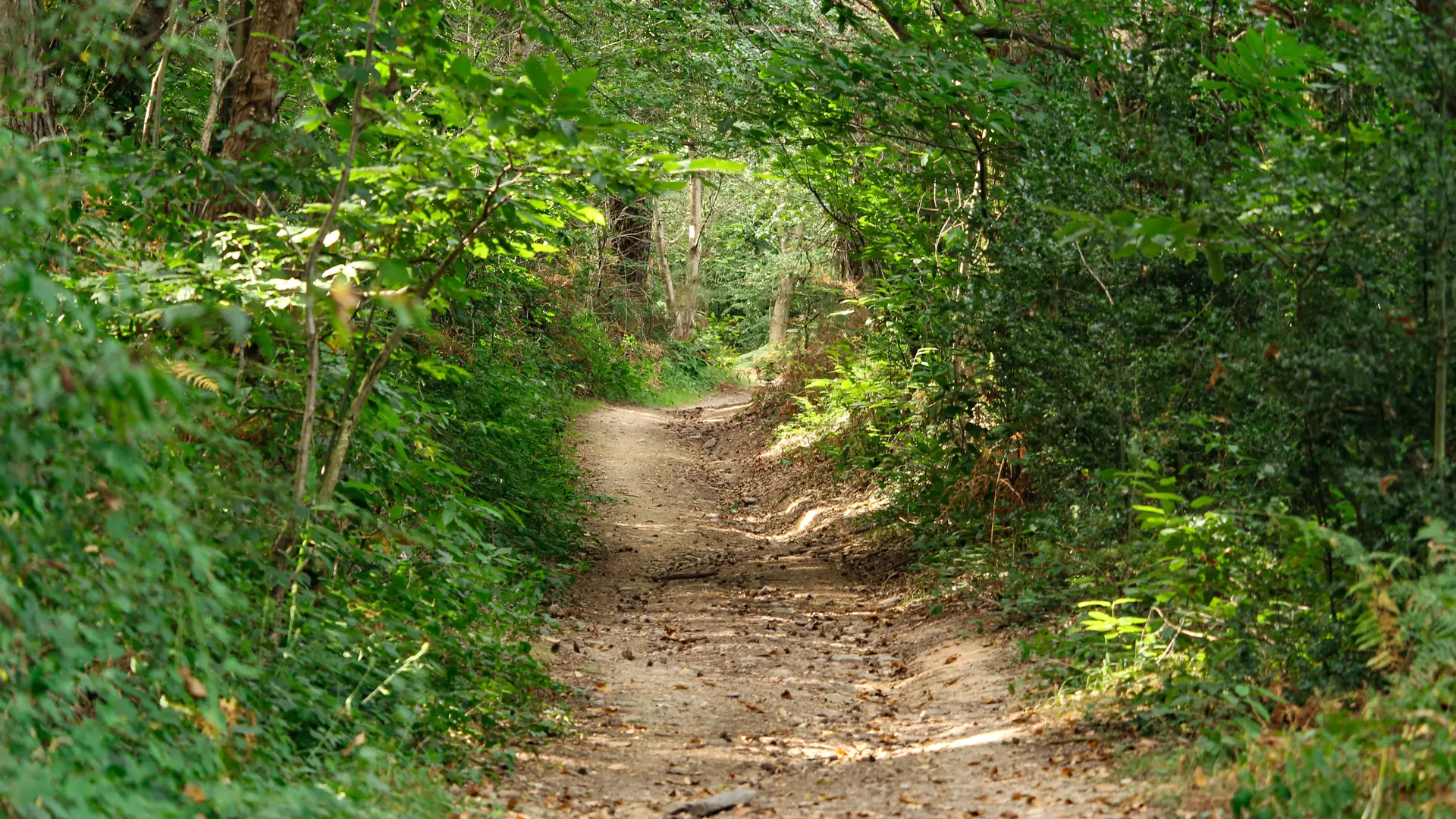 Circuit 4 Iffendic (c) Office de Tourisme Montfort Communauté (3)