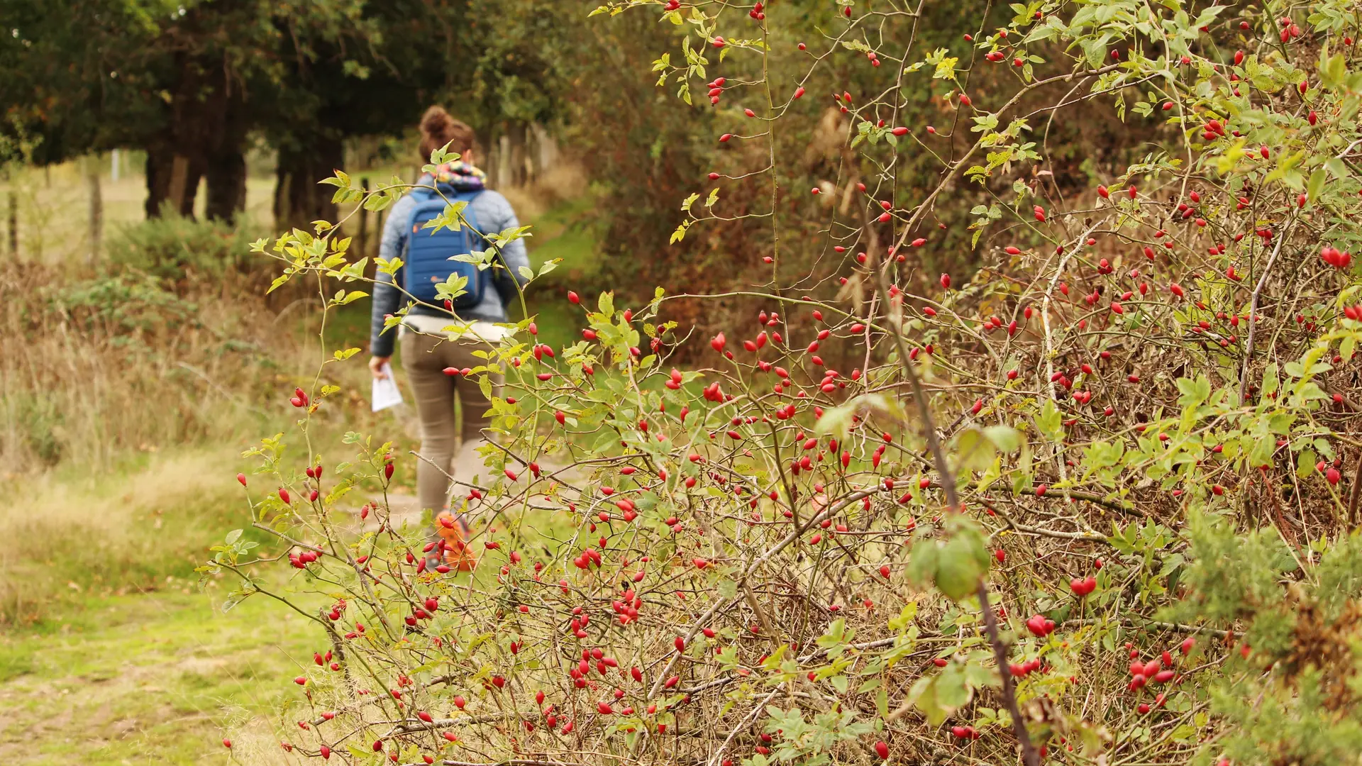 Circuit Bransahier (2)