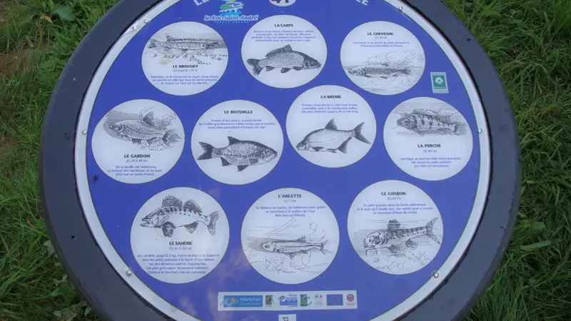 Circuits d'orientation Roc-St-André panneau info poissons d'eau douce