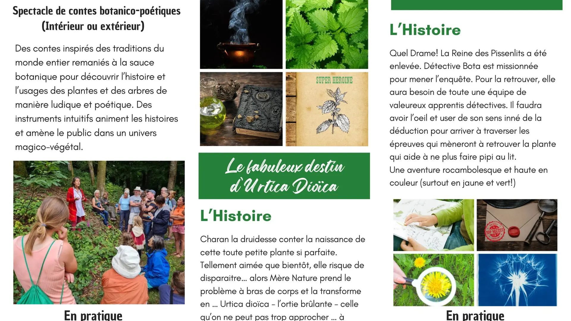 Dame Nature Brochure - 2