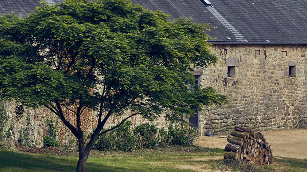 Le Jardin Saint Germain