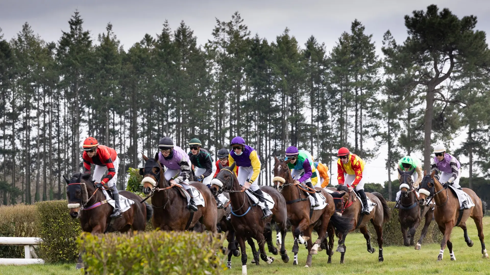 HIPPODROME MAURE DE BRETAGNE