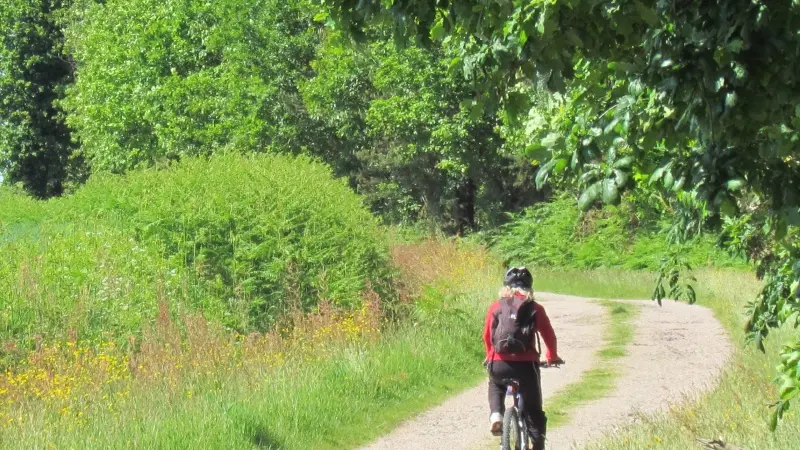 Cycliste chemins Montfort sur Meu