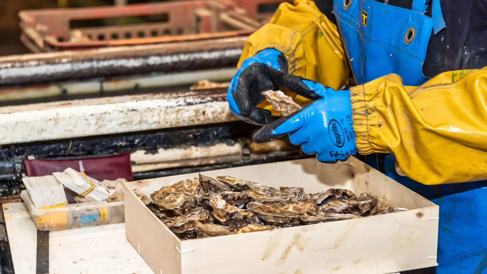 La Ferme Marine de Cancale