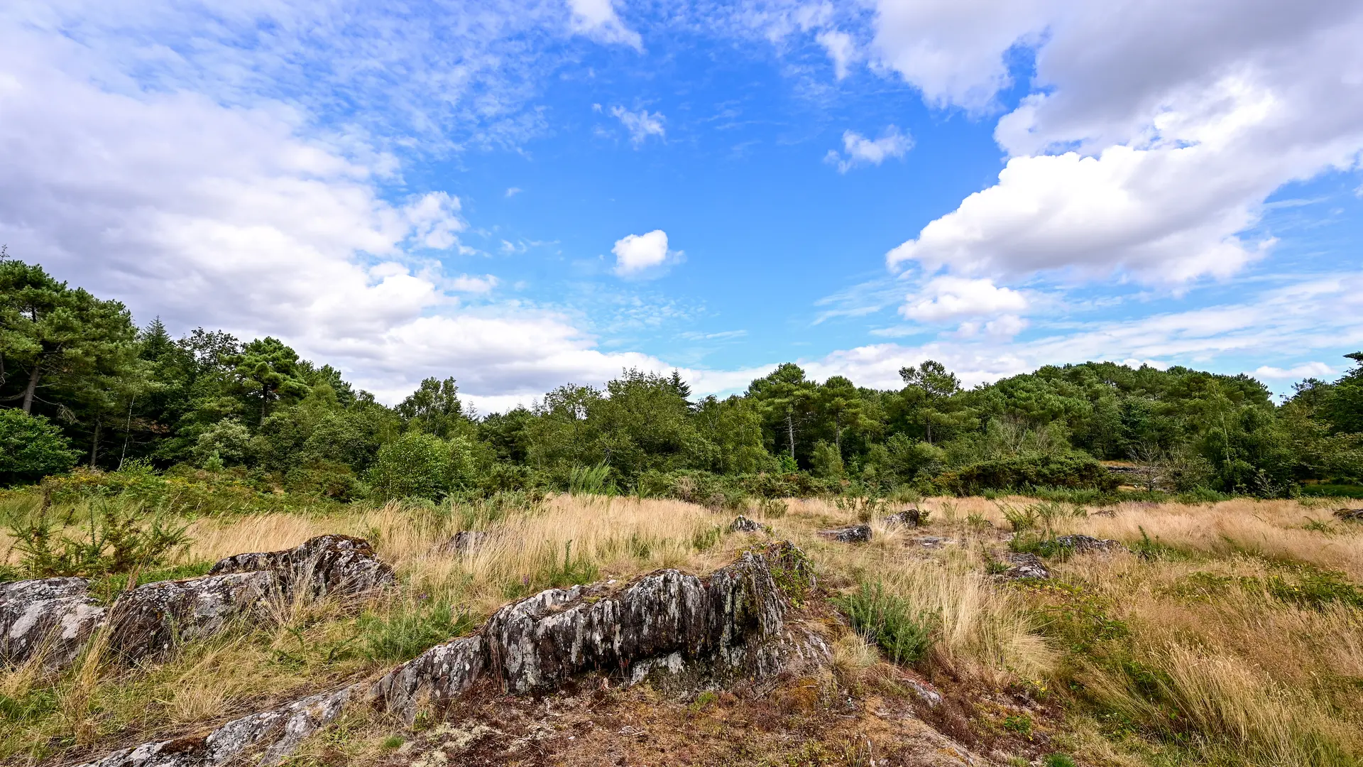 Les Landes de Monteneuf