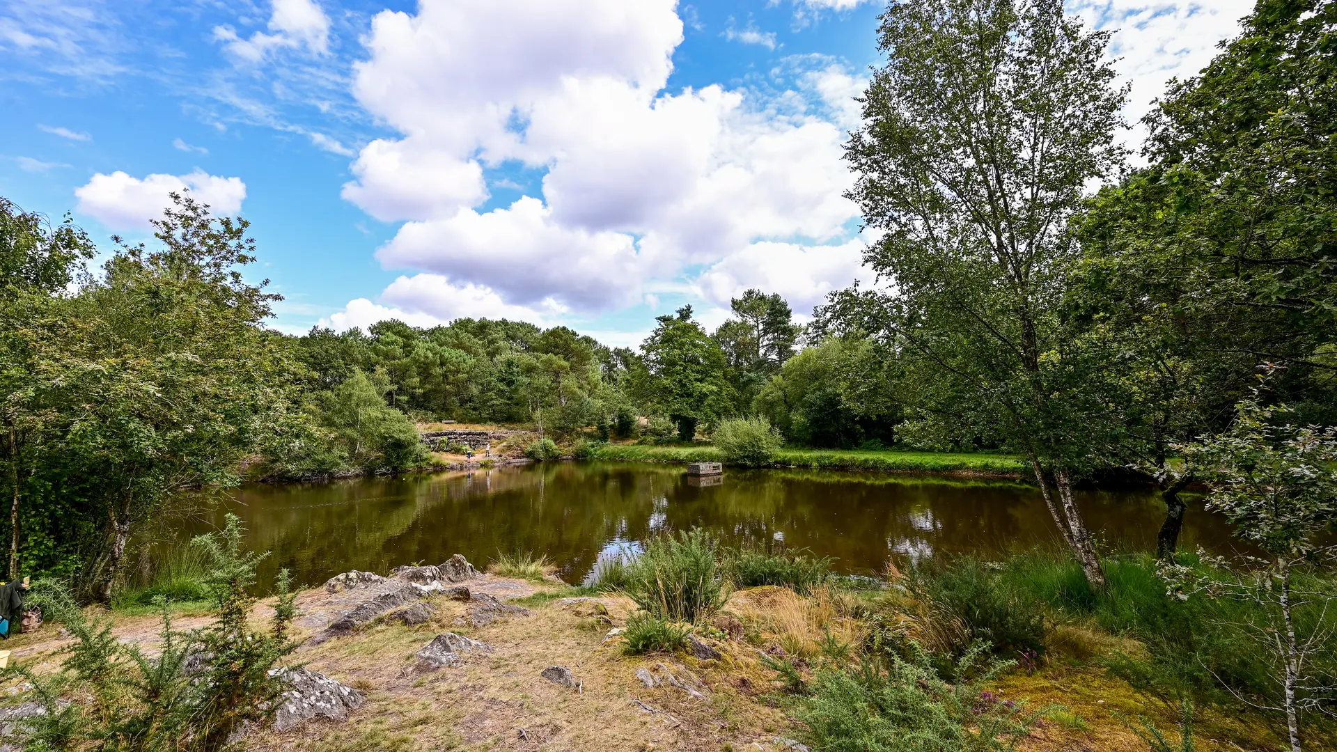 Les Landes de Monteneuf