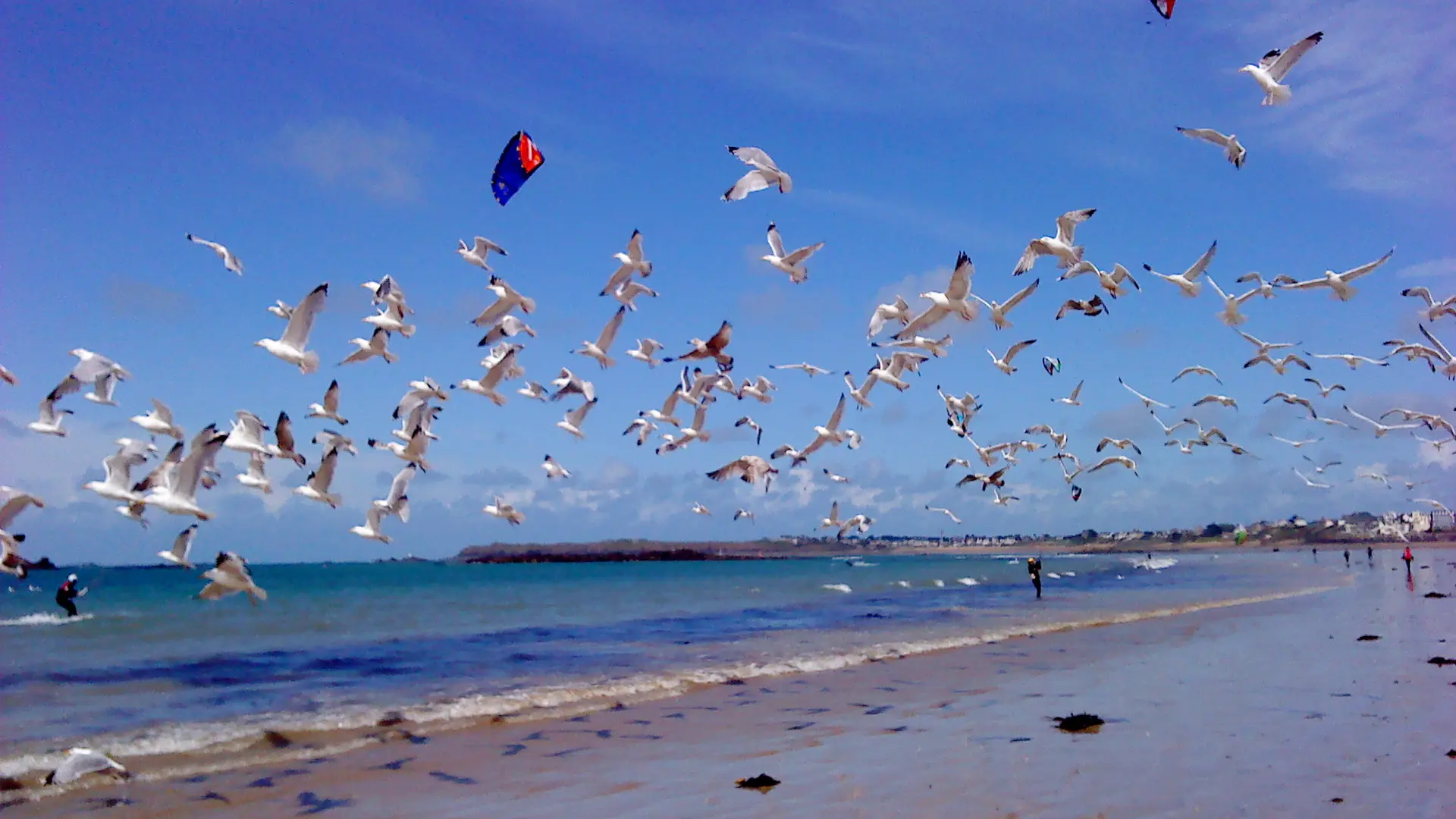 Alexandra Durand guide conférencière Saint-Malo