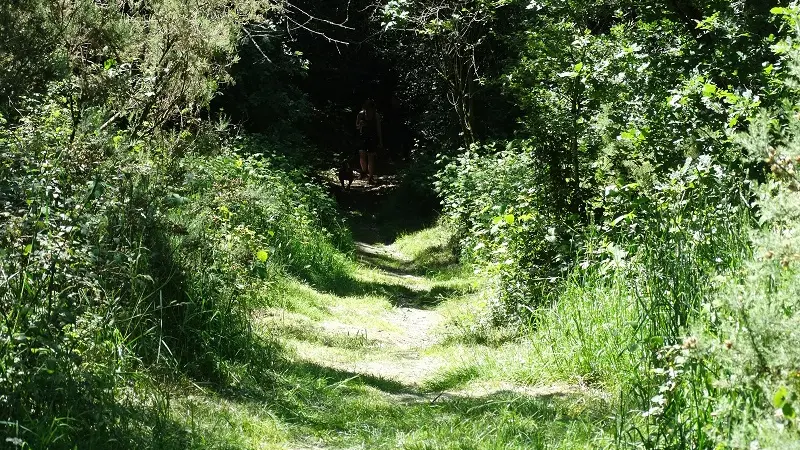 visite guidée