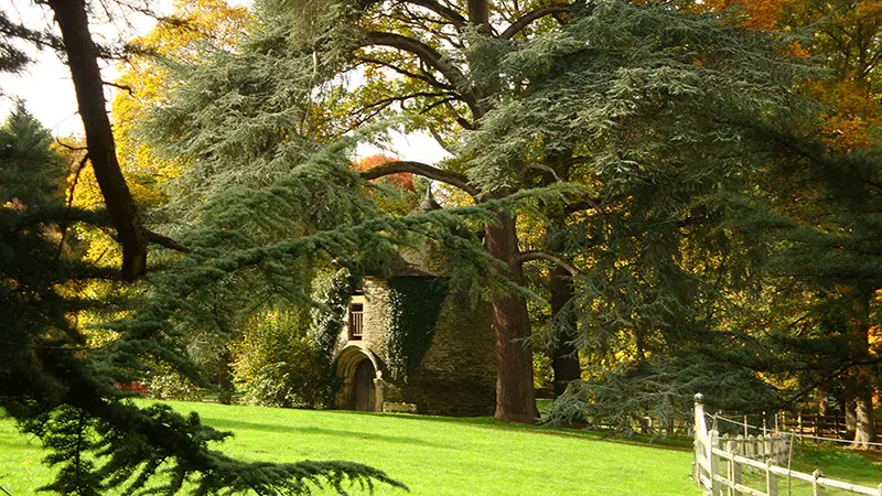 Manoir de Trégaray - Sixt sur Aff