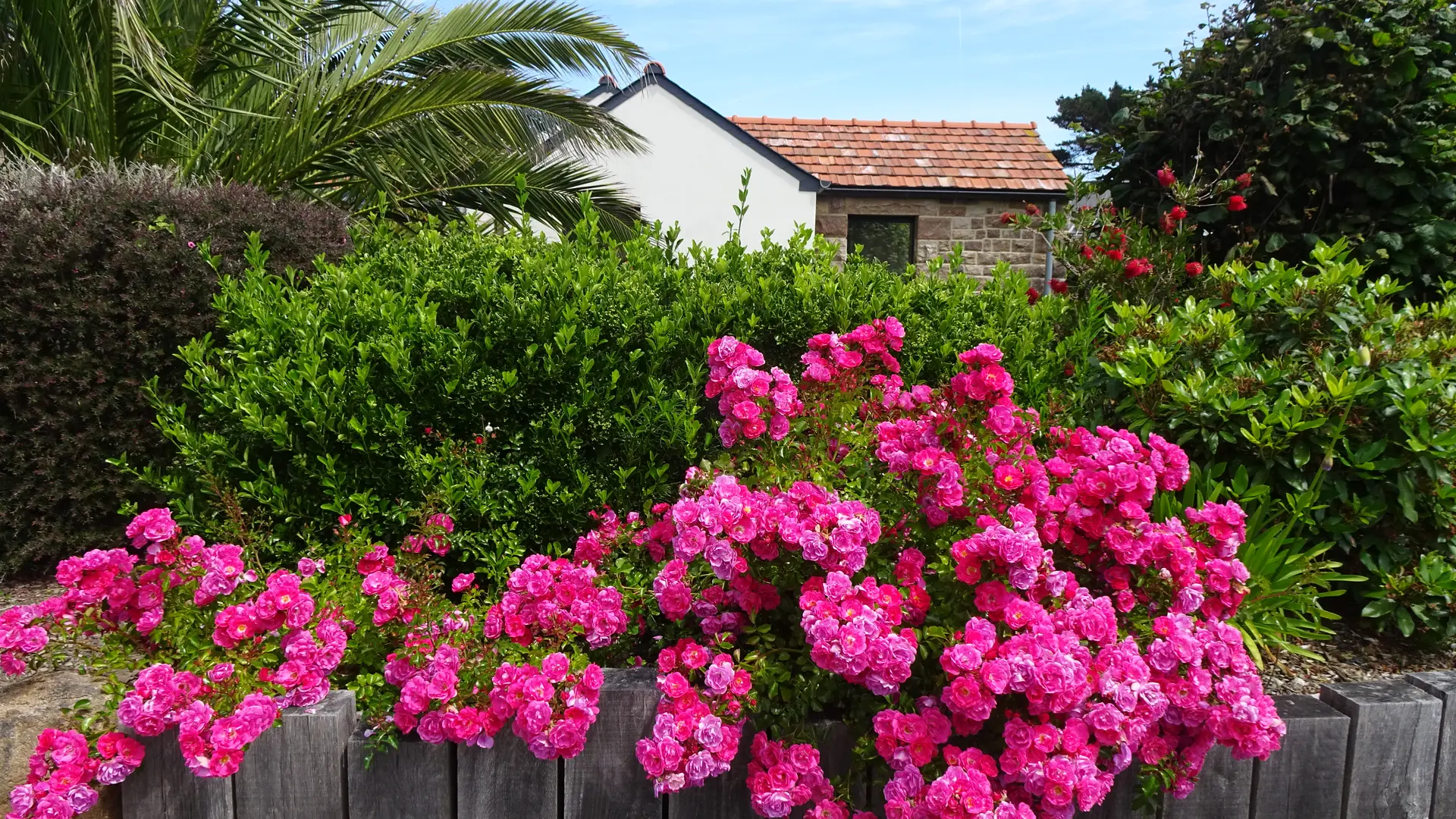 jardin