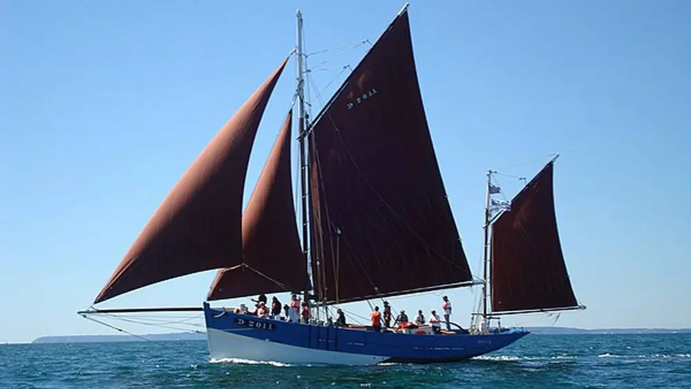 Skellig