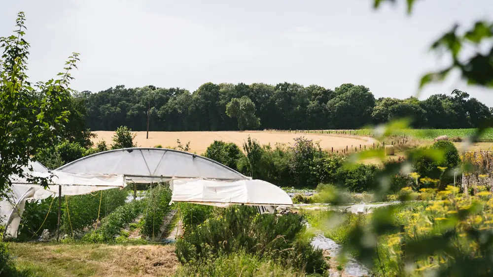 La table des jardins de la Matz