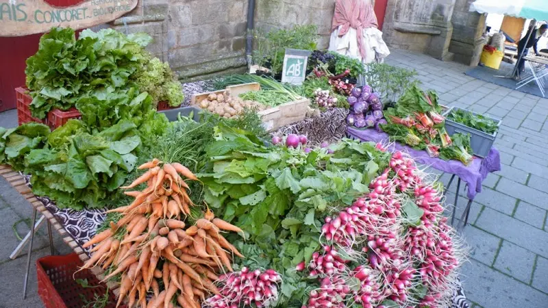 ferme_la-bouvrais_maraichage_brebis_Concoret_DestinationBroceliande