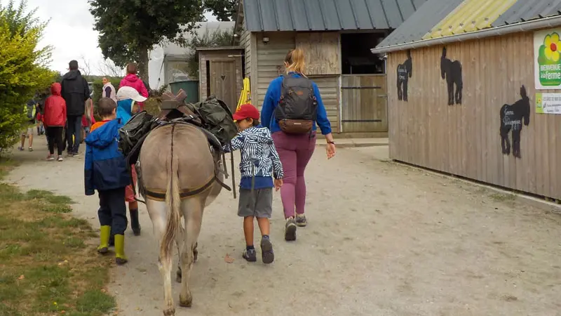 Les Ânes de Min Guen