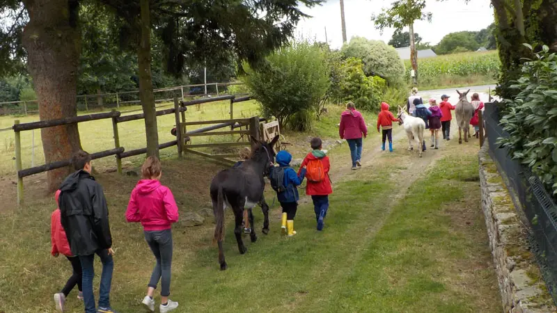 Les Ânes de Min Guen