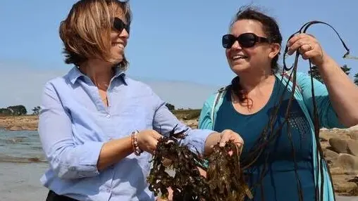 Découverte des algues avec Sonia Kermoal et Delphine Piolot