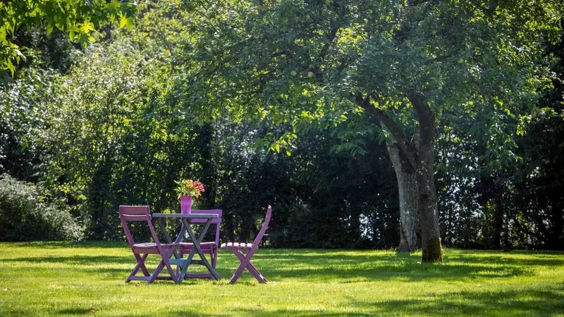 Duplex en Brocéliande_Plélan le Grand_jardin_vue2