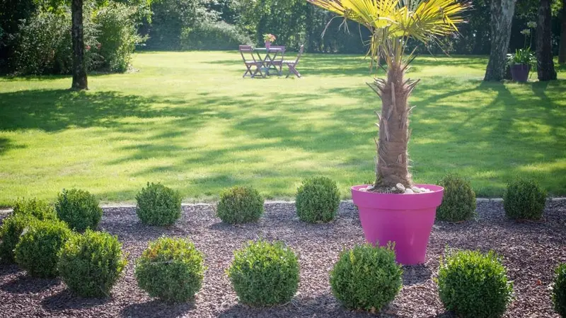 Duplex en Brocéliande_Plélan le Grand_jardin