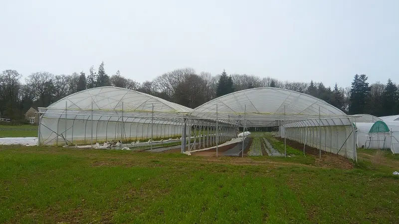 ESAT St Marcel vente directe bio - Morbihan - Bretagne