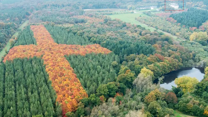 Château de Loyat - parc forestier - Brocéliande - Bretagne