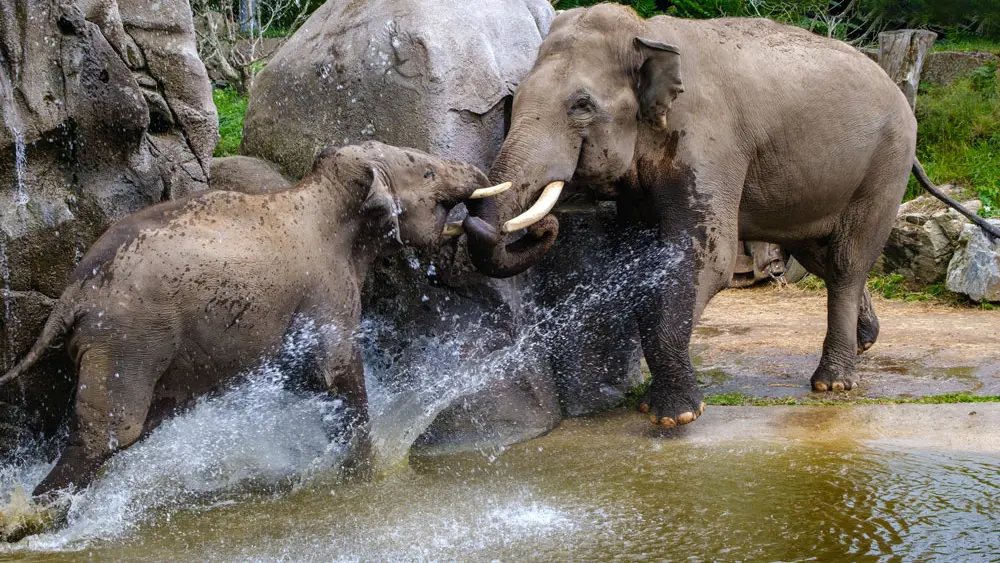 Les Terres de Nataé