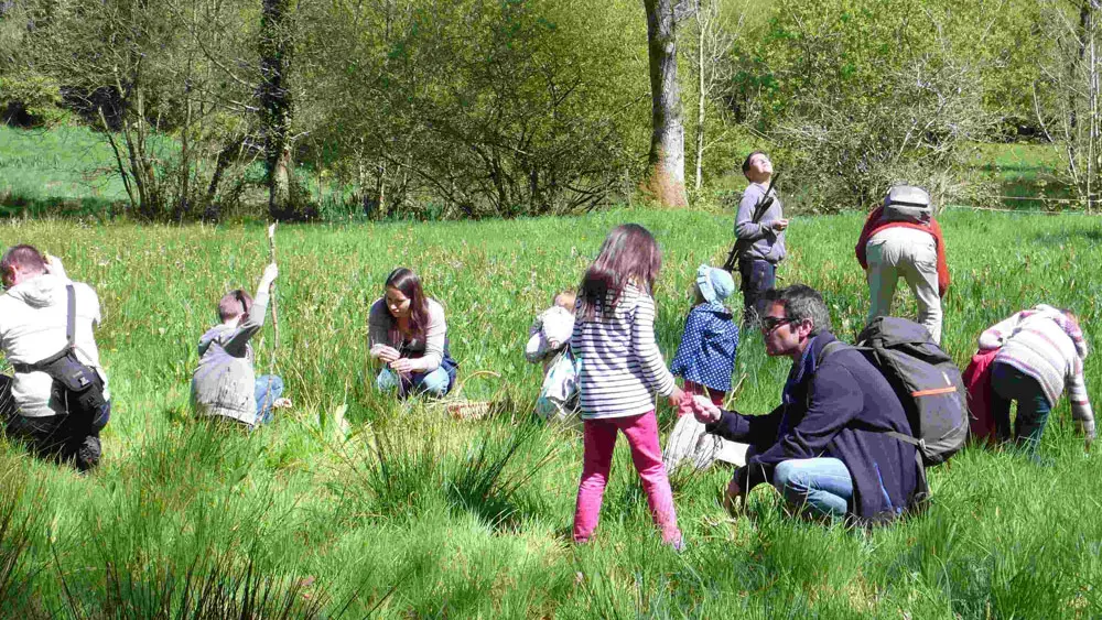 Ecomusée des Monts d'Arrée