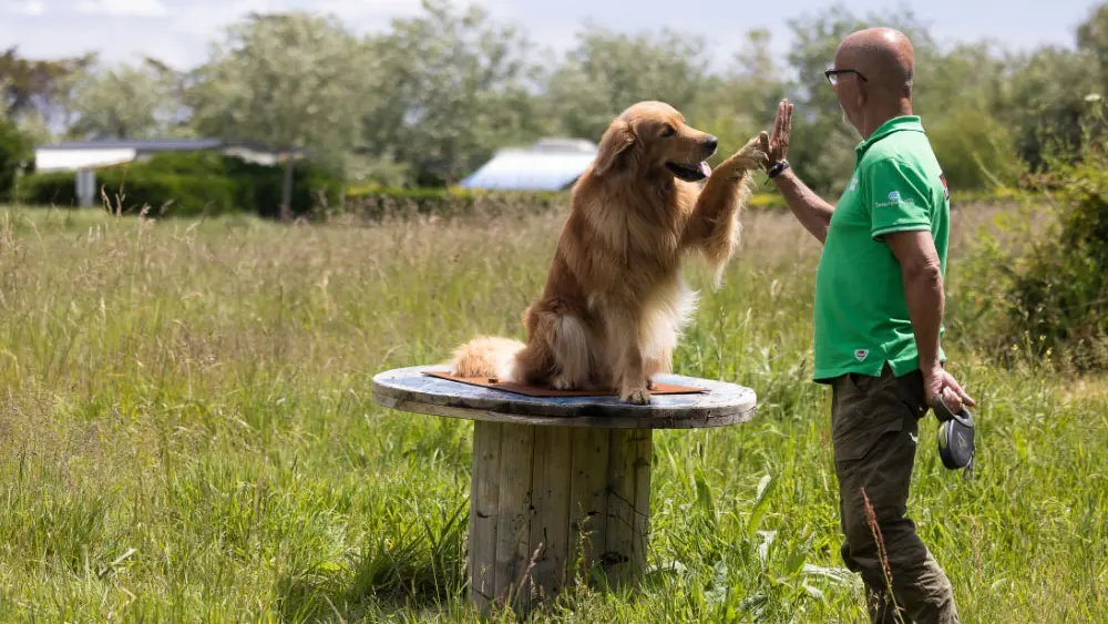Camping Sites et Paysages La Torche