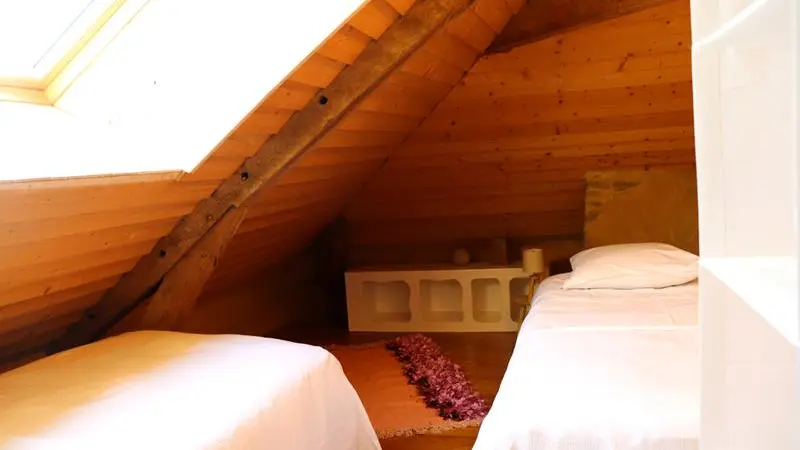 Epilobe chambre rose