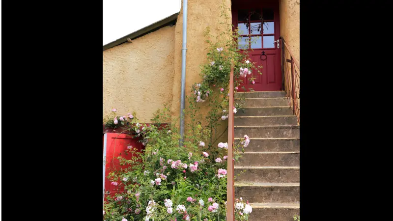 Epilobe escalier