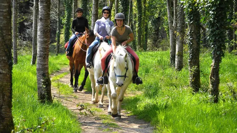 Equitation