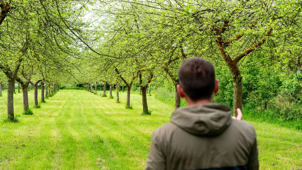 Cidrerie de Cozmezou