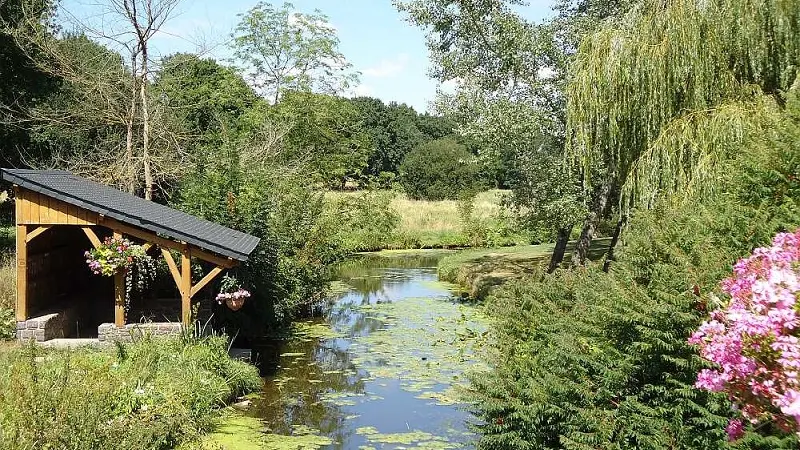 Etang de la Cane
