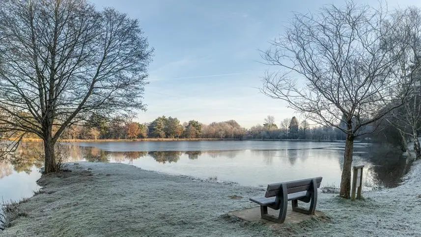 Etang de la Marette