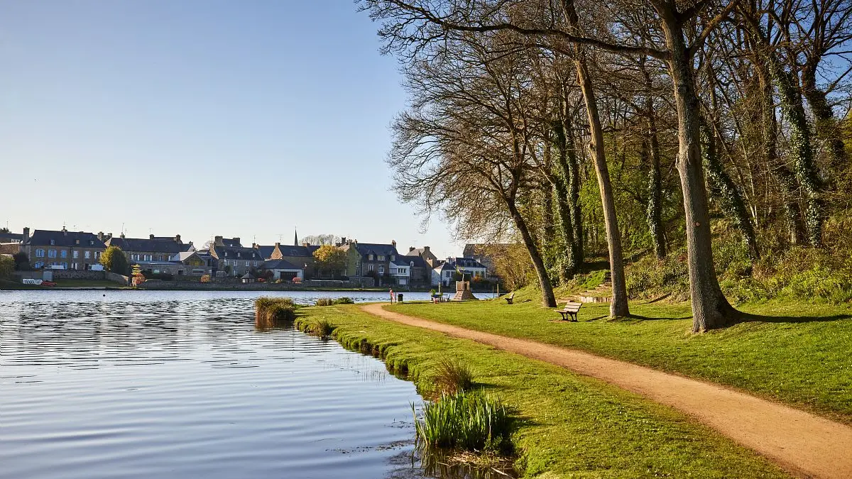 Etang du Minihy_Chatelaudren@Alexandre Lamoureux_D6A9225_valide2031