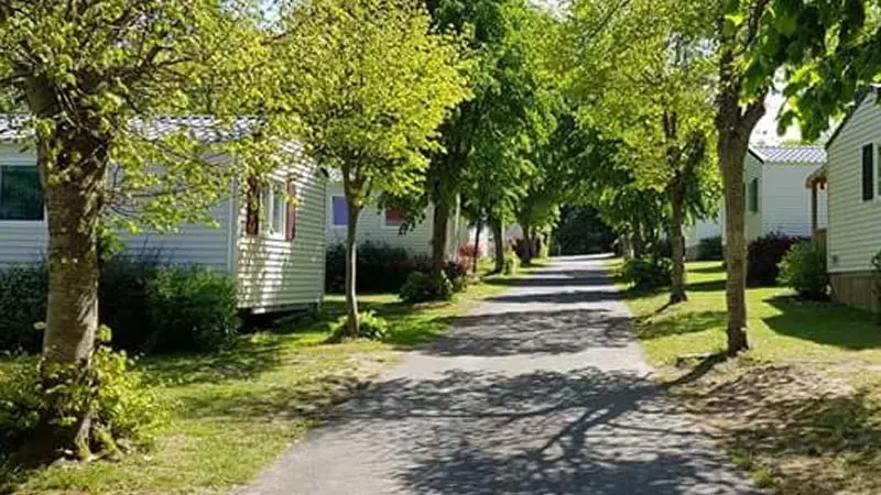 Camping Le Domaine des Jonquilles