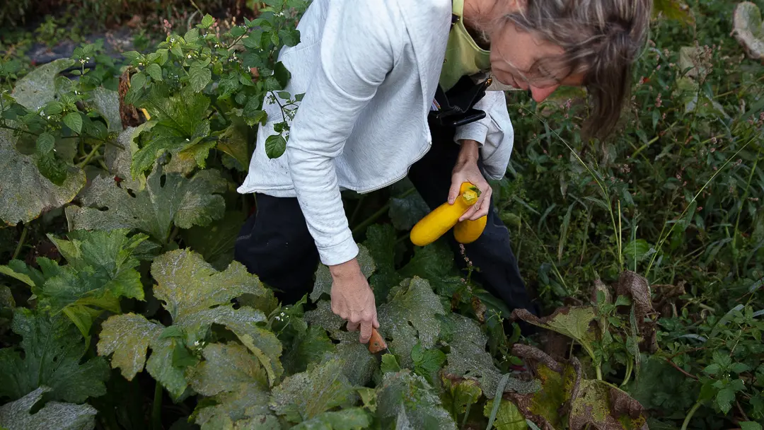 Papi Jean - Une journée à la ferme