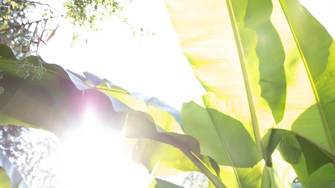 Cabanétape chez Papi Jean