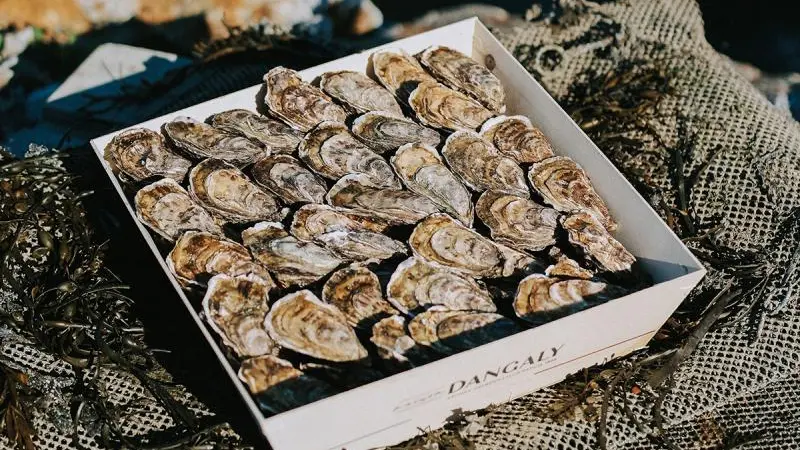 Ferme des Nielles magasin 3 - Cancale