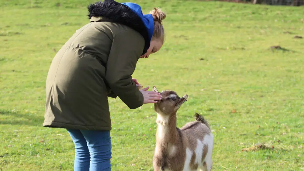 Ferme pédagogique - La Combe aux Anes